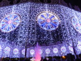 img0049.jpg