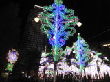img0062.jpg