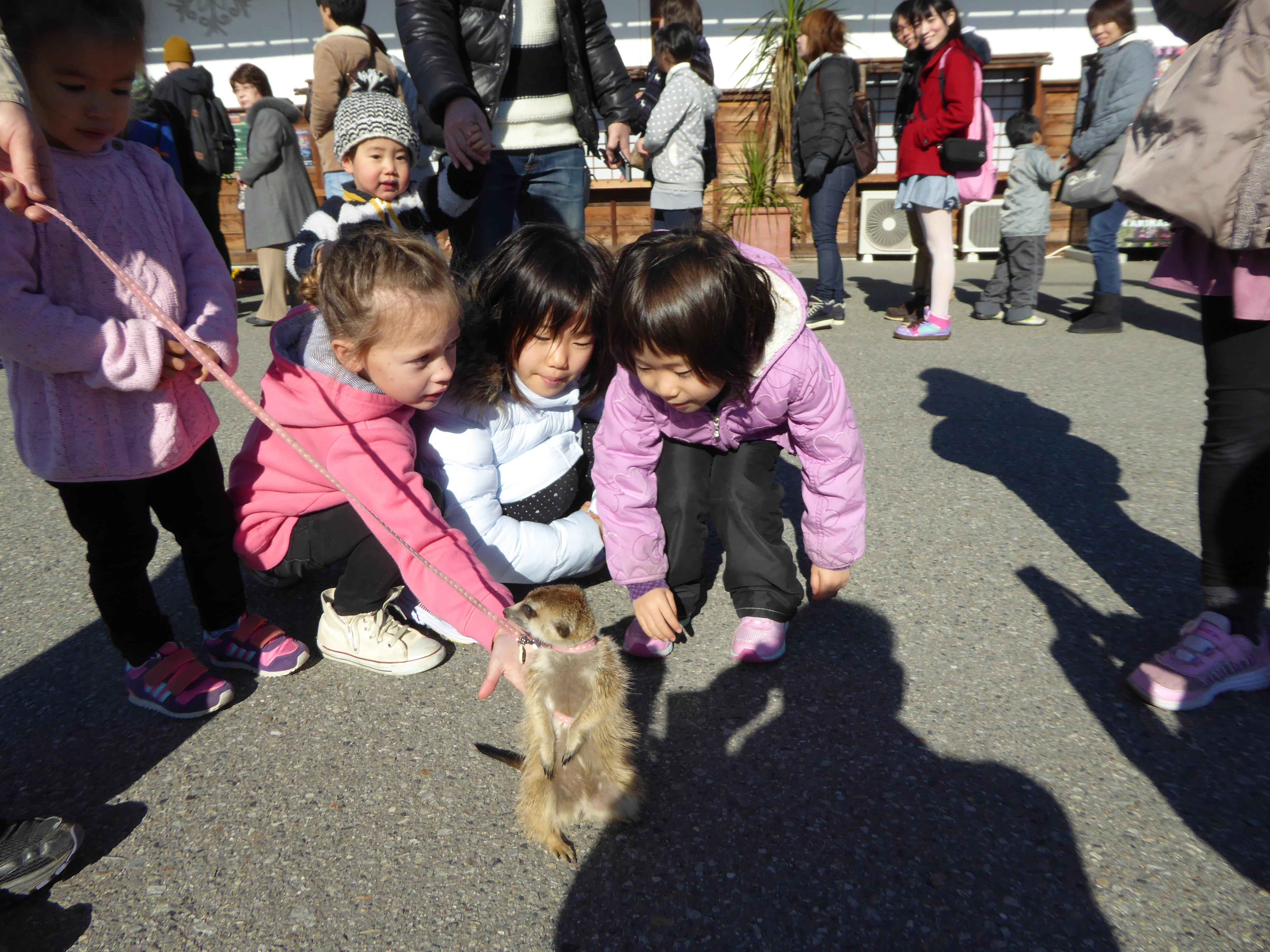 P1050035.JPG