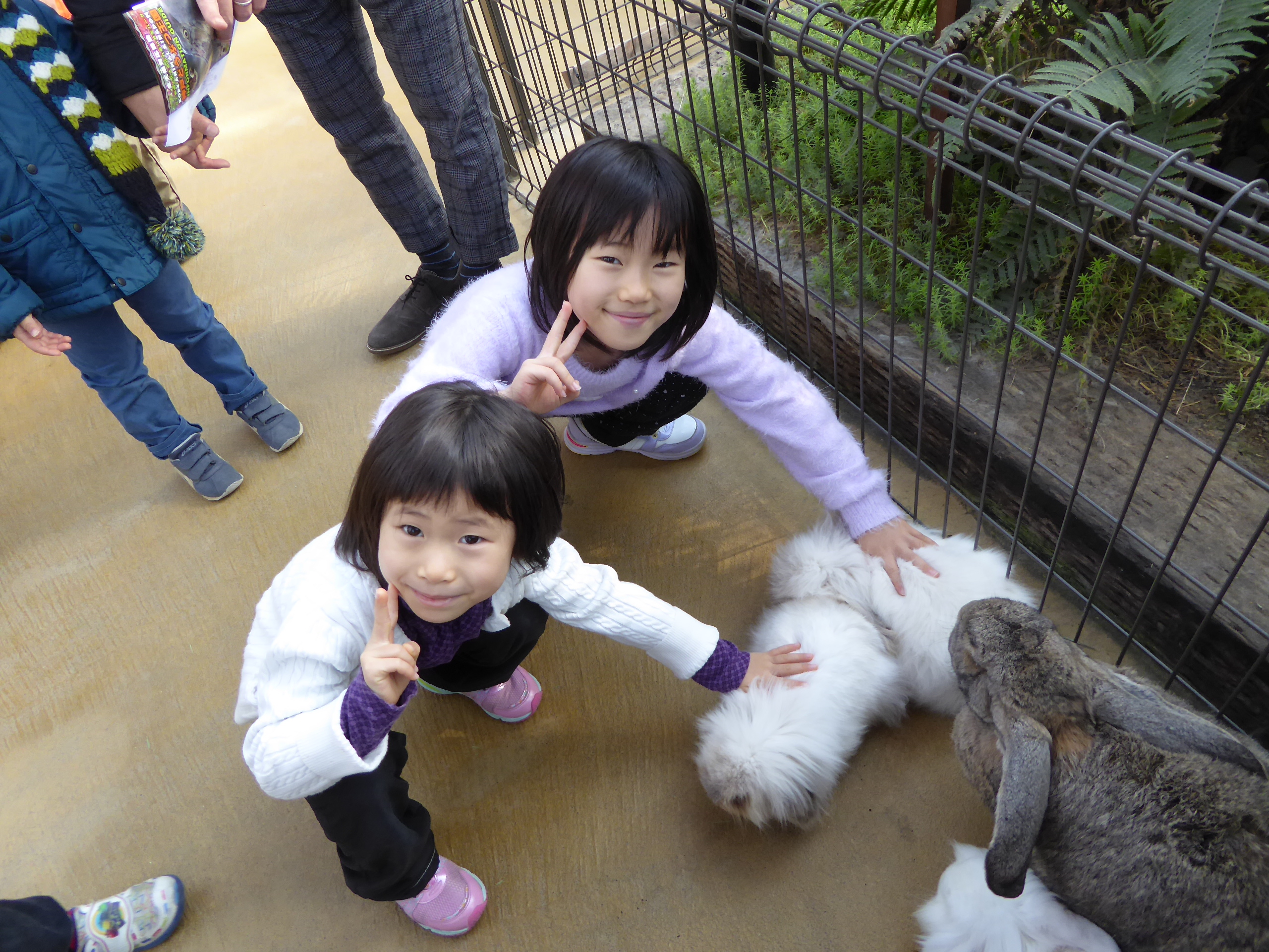 P1050057.JPG