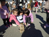 img0001.jpg