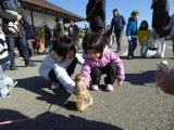 img0002.jpg