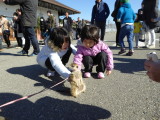 img0003.jpg