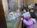 img0007.jpg