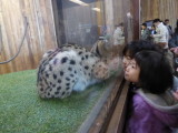 img0008.jpg
