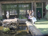 img0009.jpg