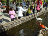 img0014.jpg