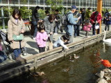 img0015.jpg
