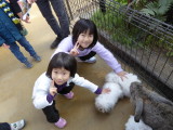 img0018.jpg