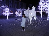 img0047.jpg
