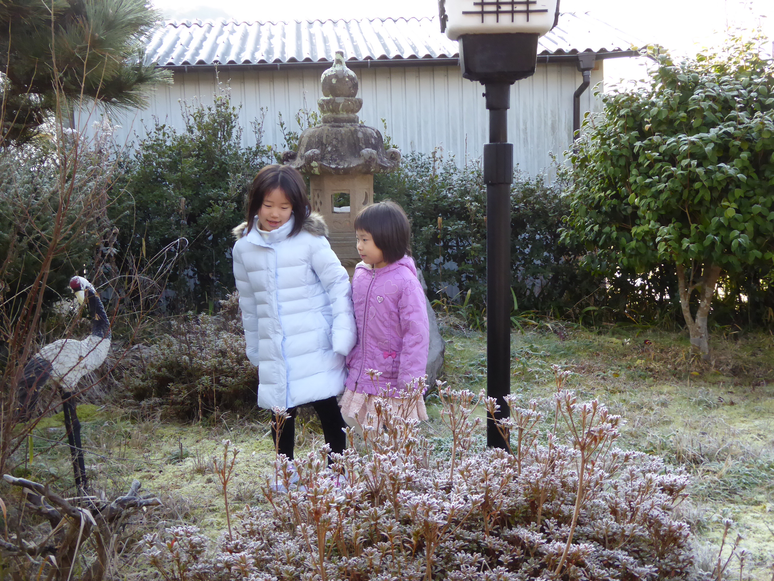 P1050101.JPG