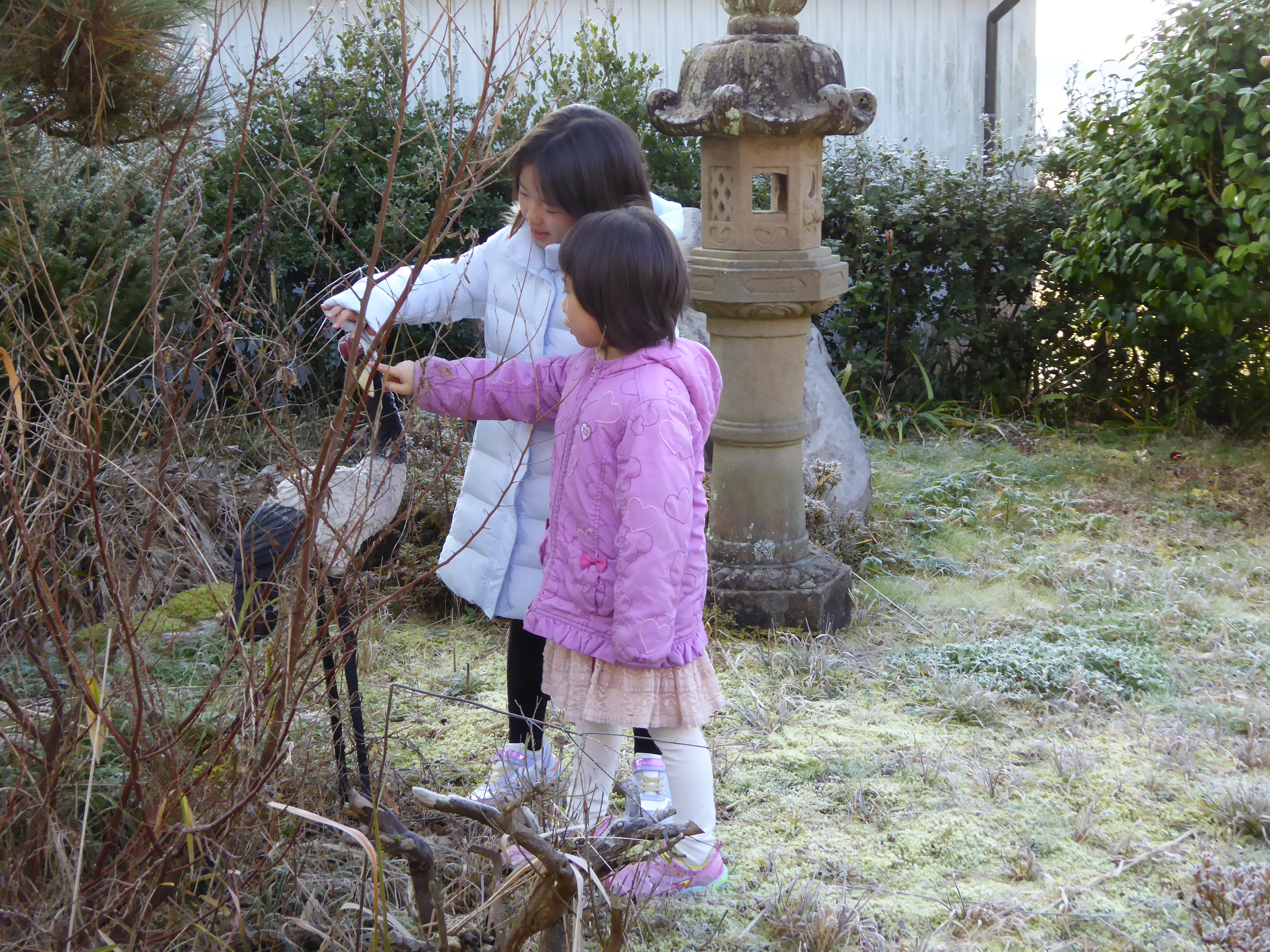 P1050102.JPG