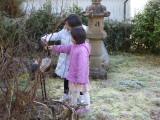 img0004.jpg