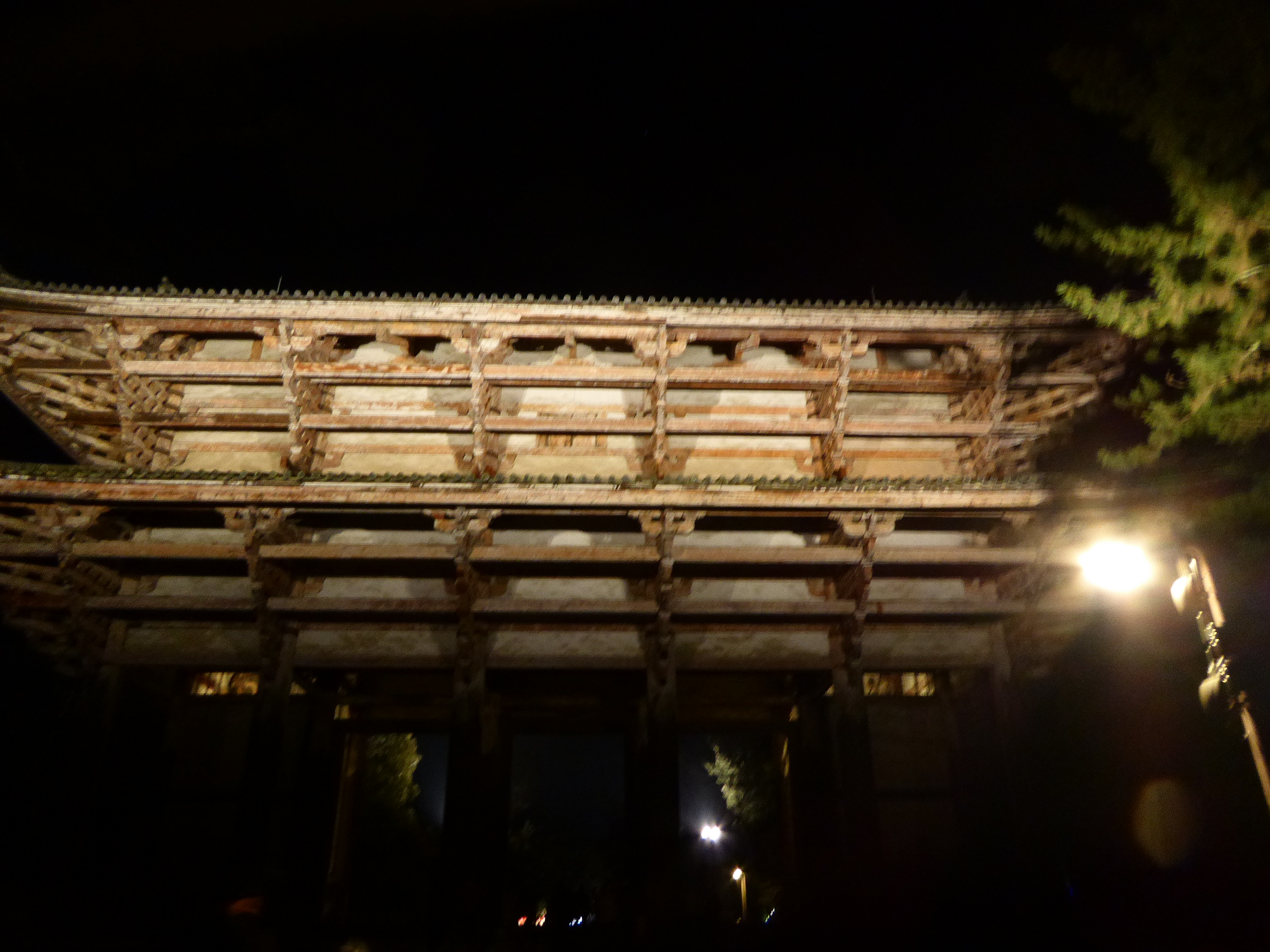 P1050106.JPG