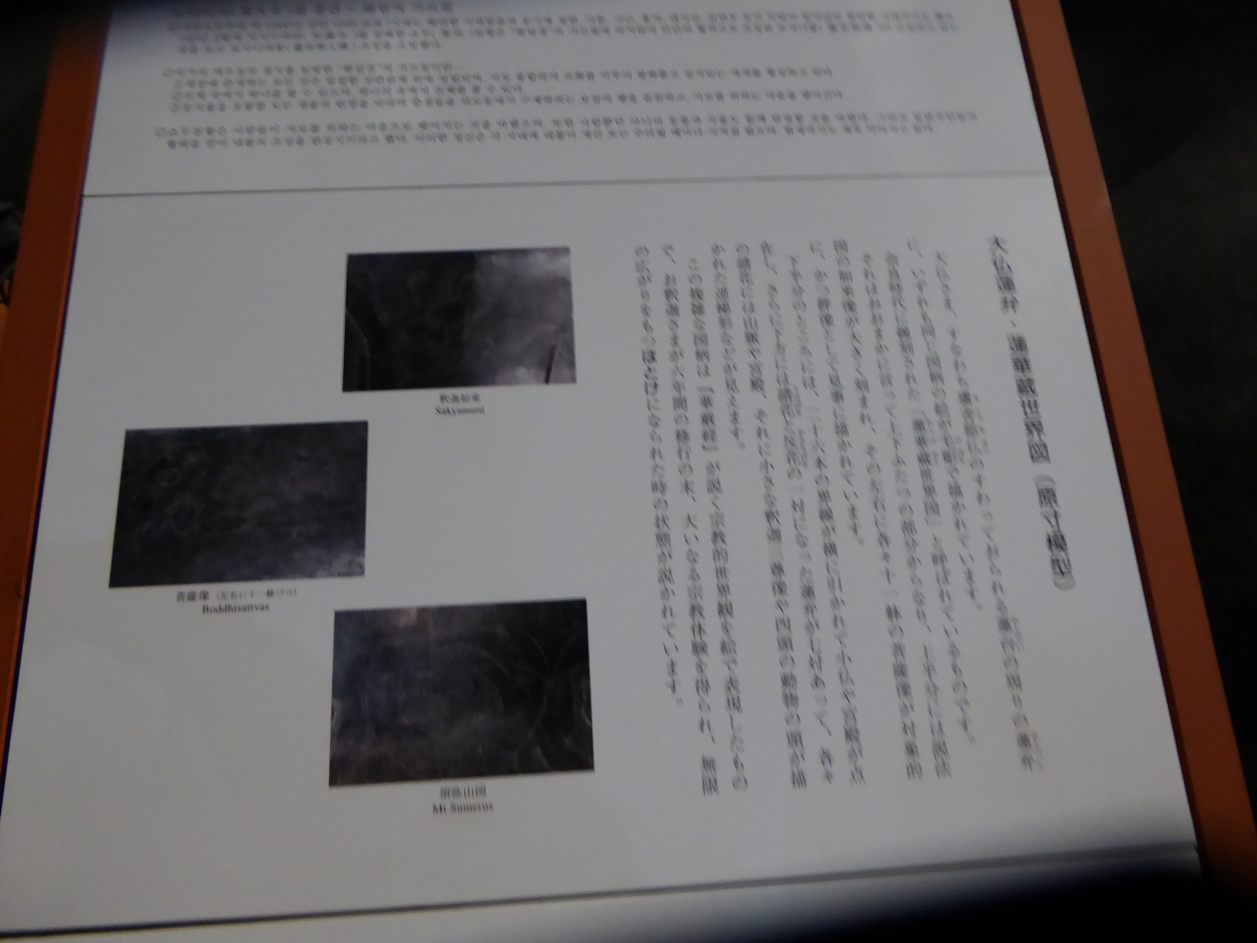 P1050136.JPG
