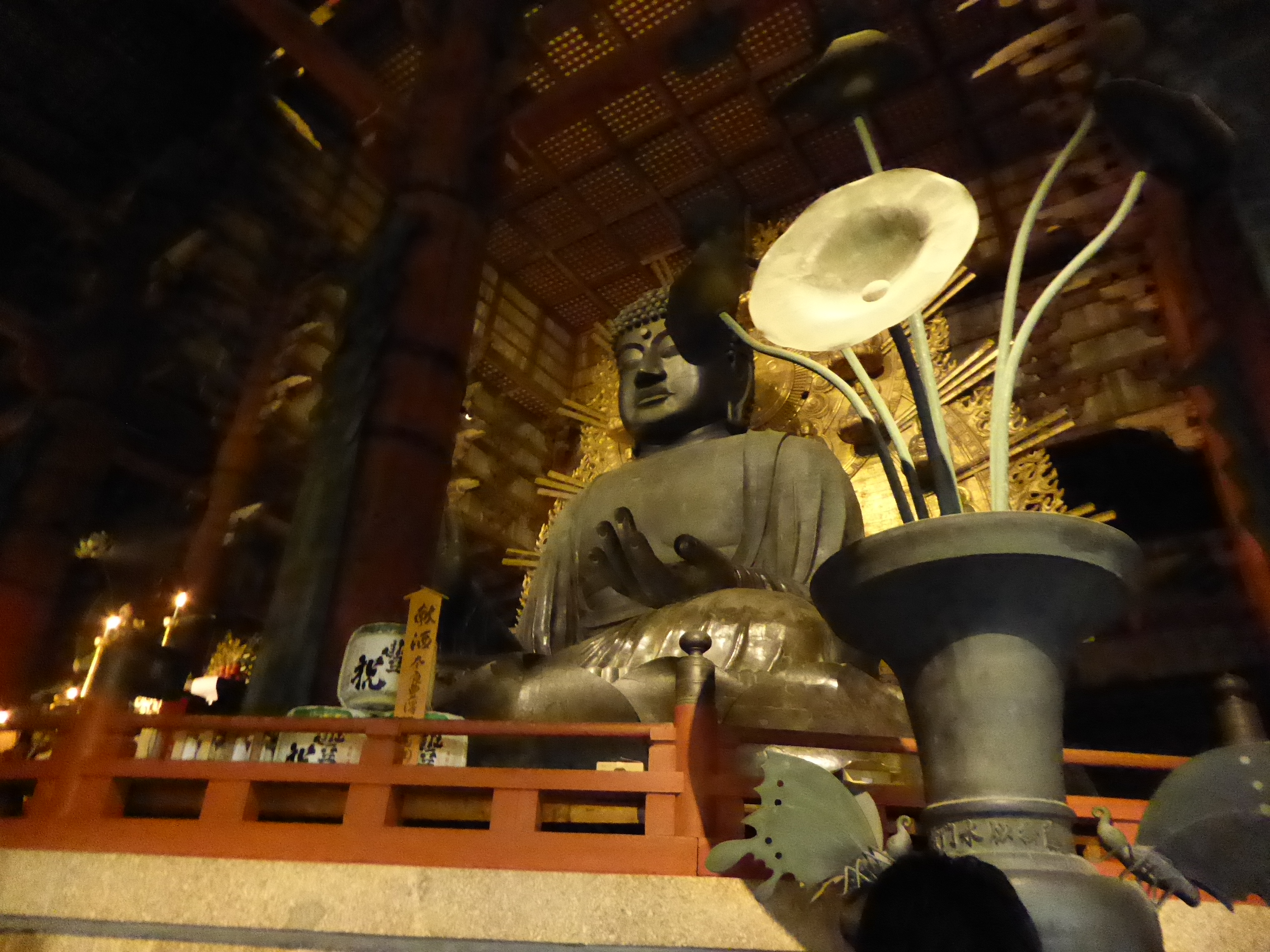 P1050147.JPG
