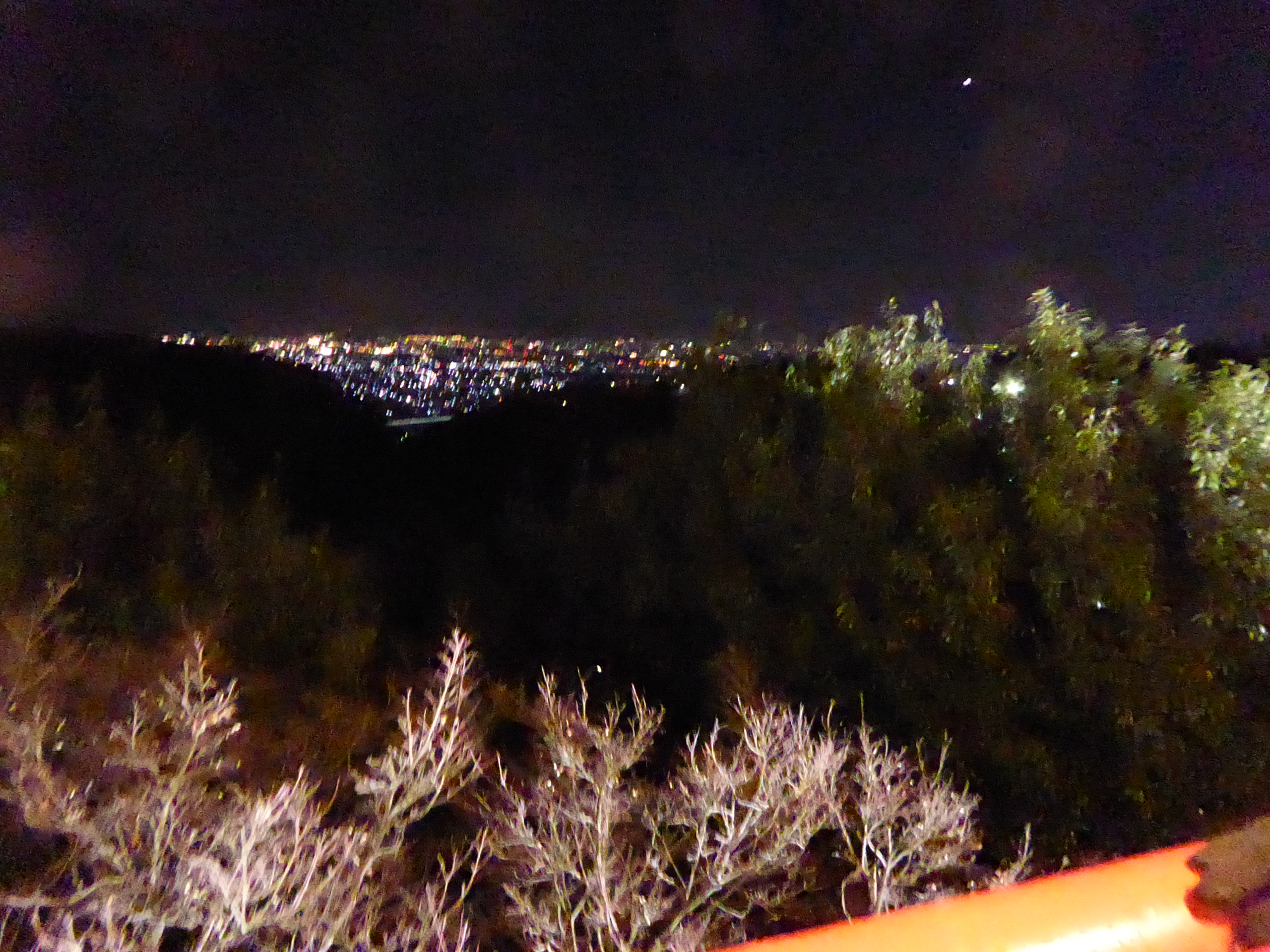 P1050189.JPG