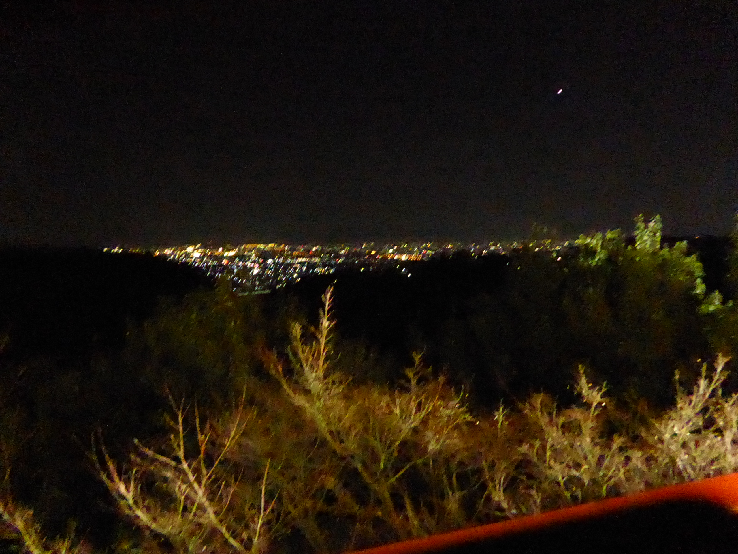 P1050190.JPG