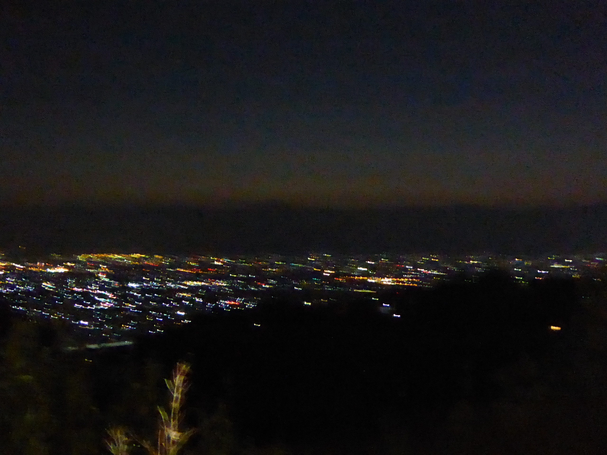 P1050196.JPG