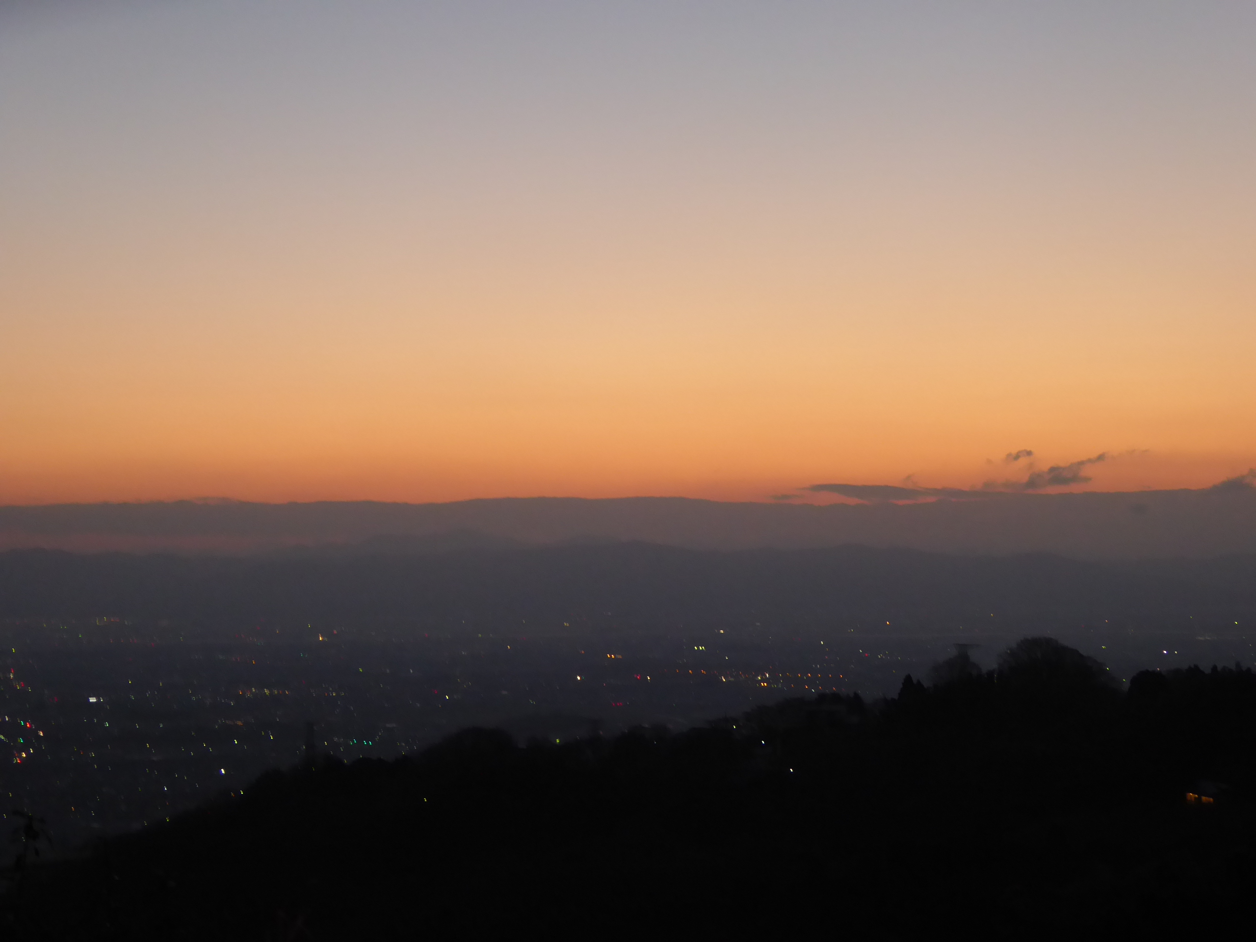 P1050202.JPG