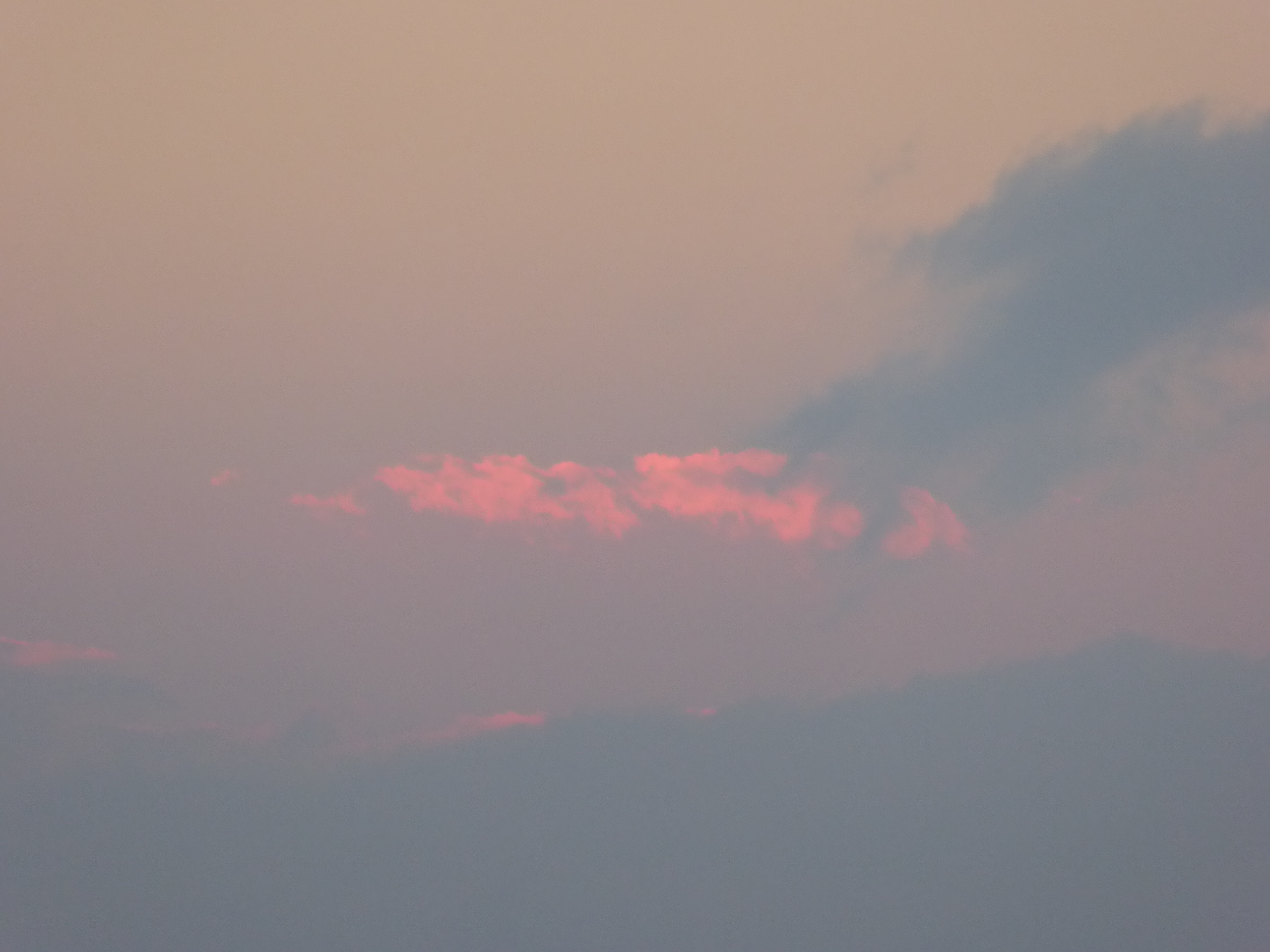 P1050216.JPG
