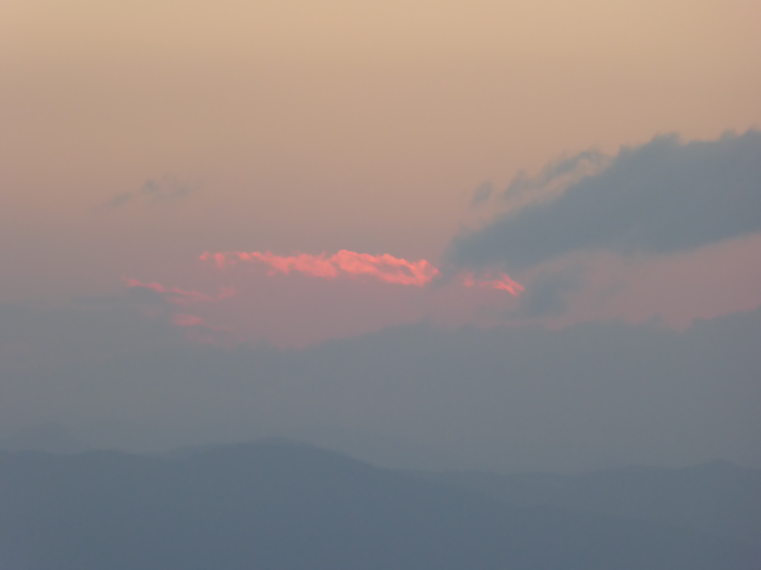 P1050217.JPG