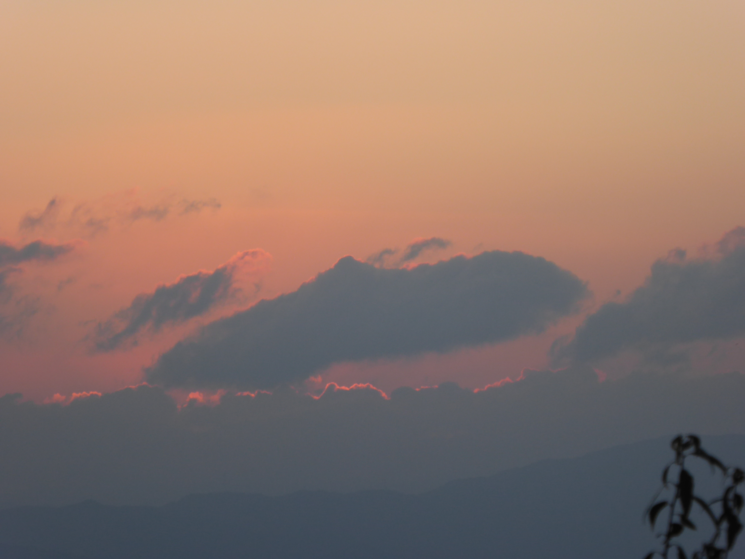 P1050225.JPG