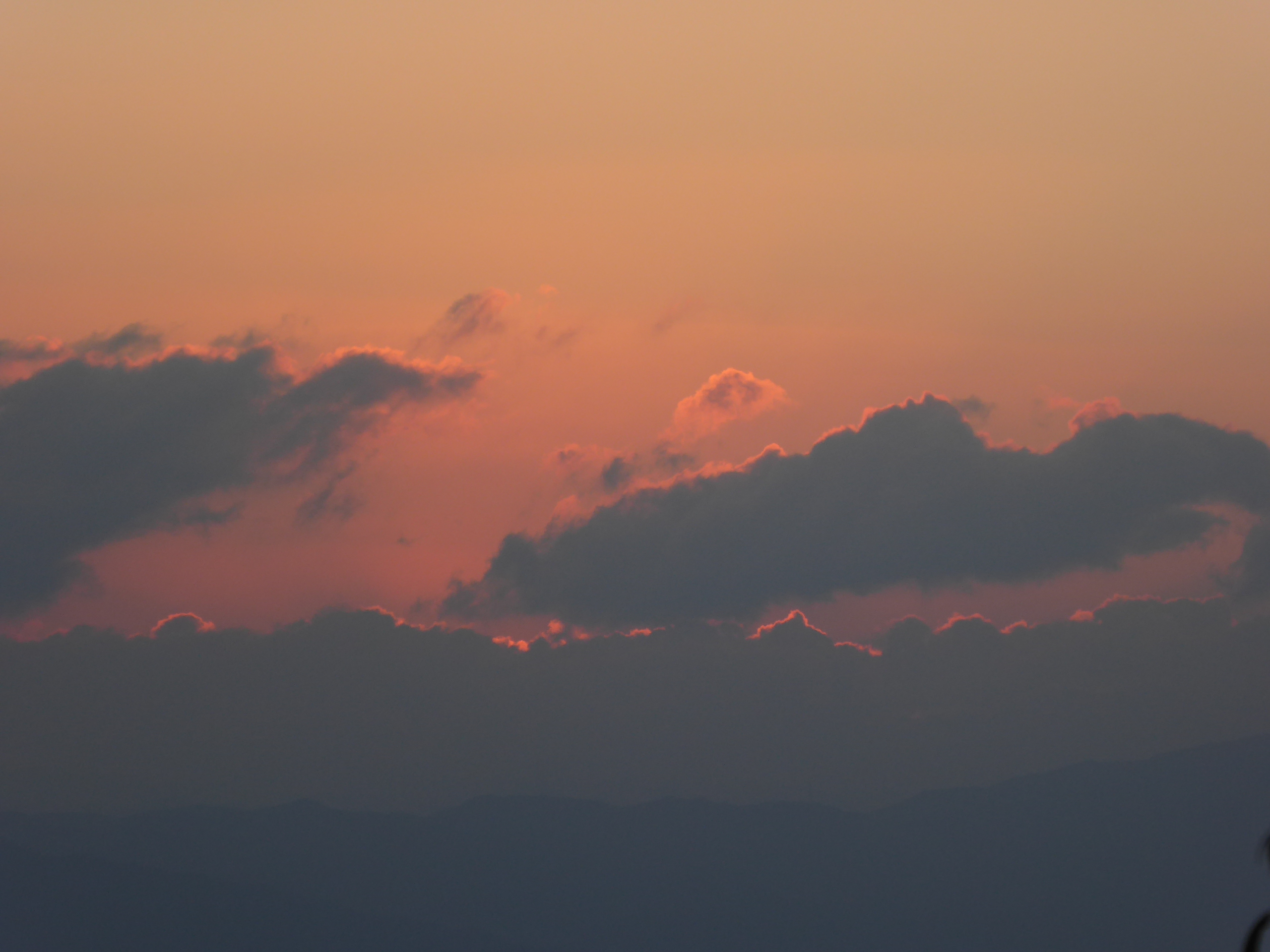 P1050226.JPG
