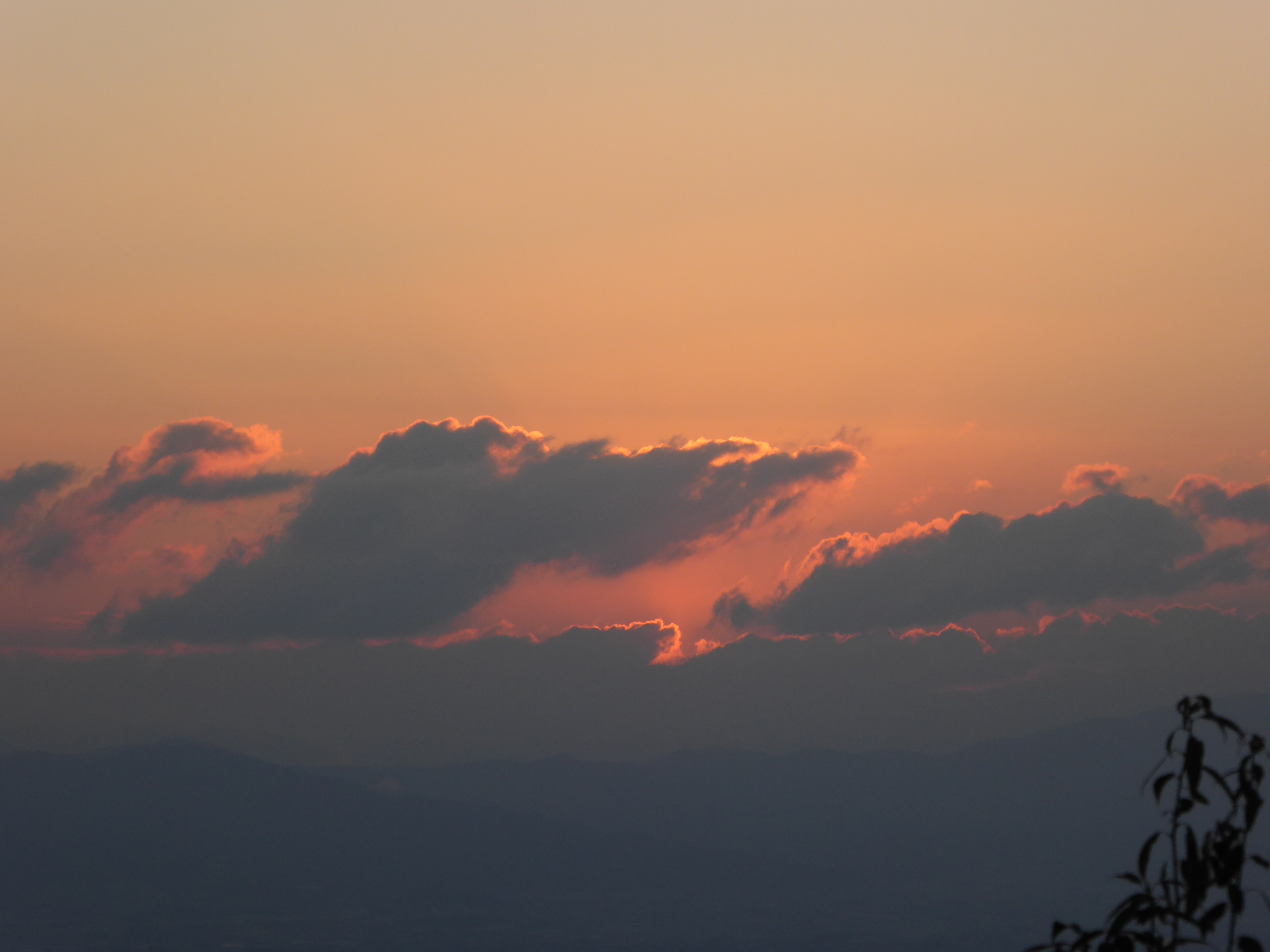 P1050230.JPG