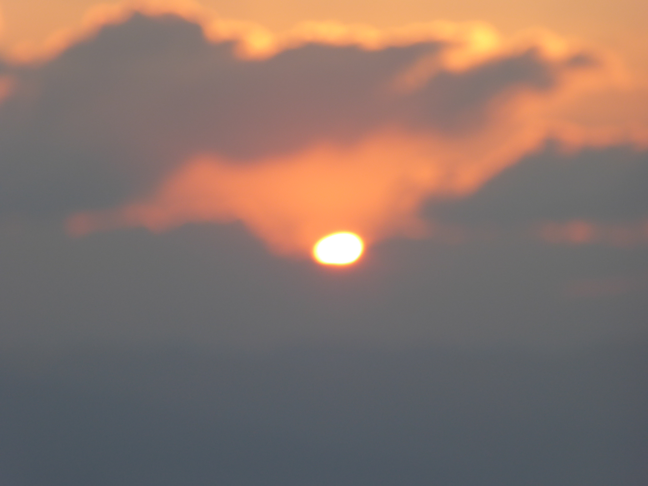 P1050233.JPG