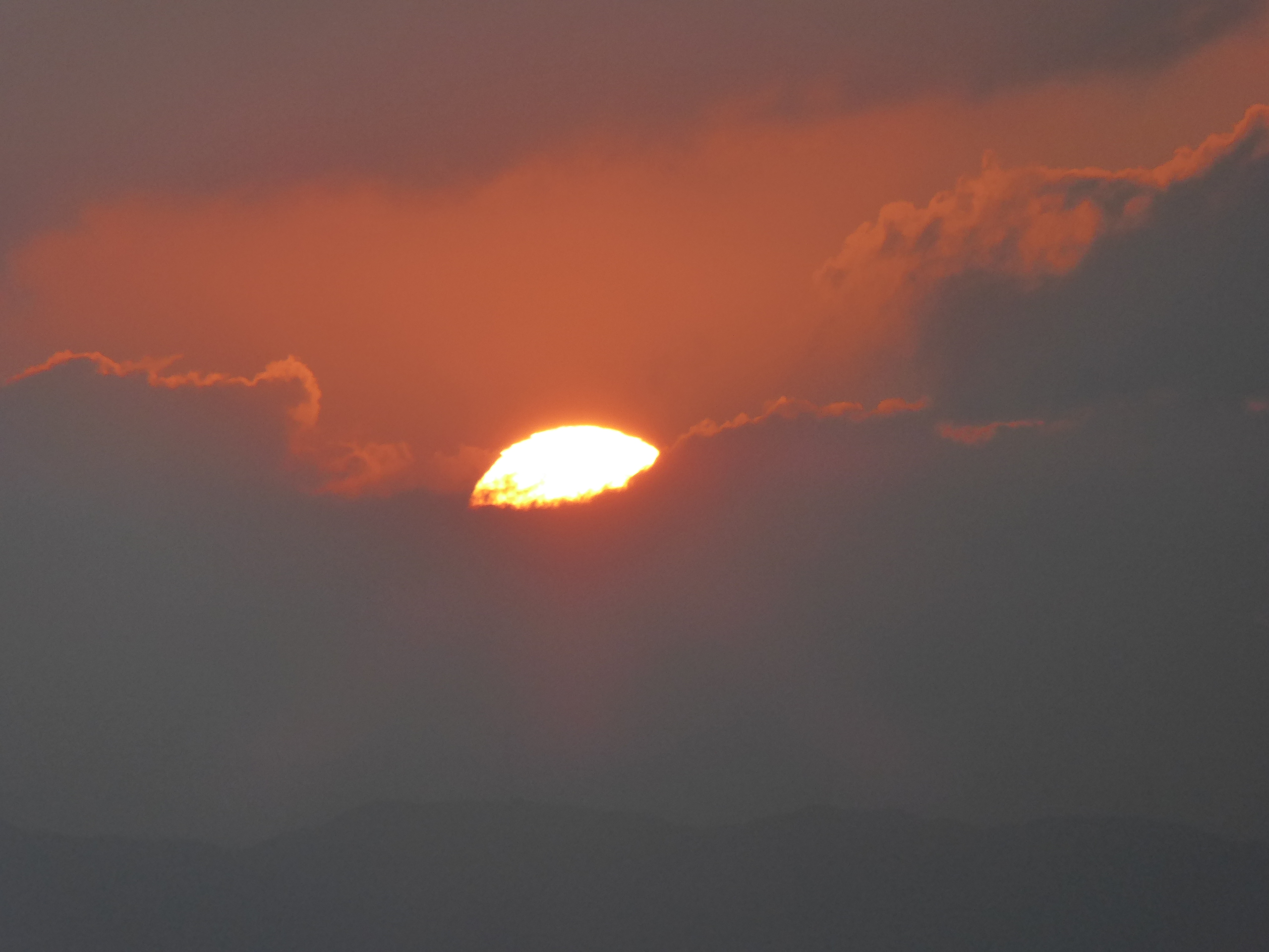 P1050236.JPG