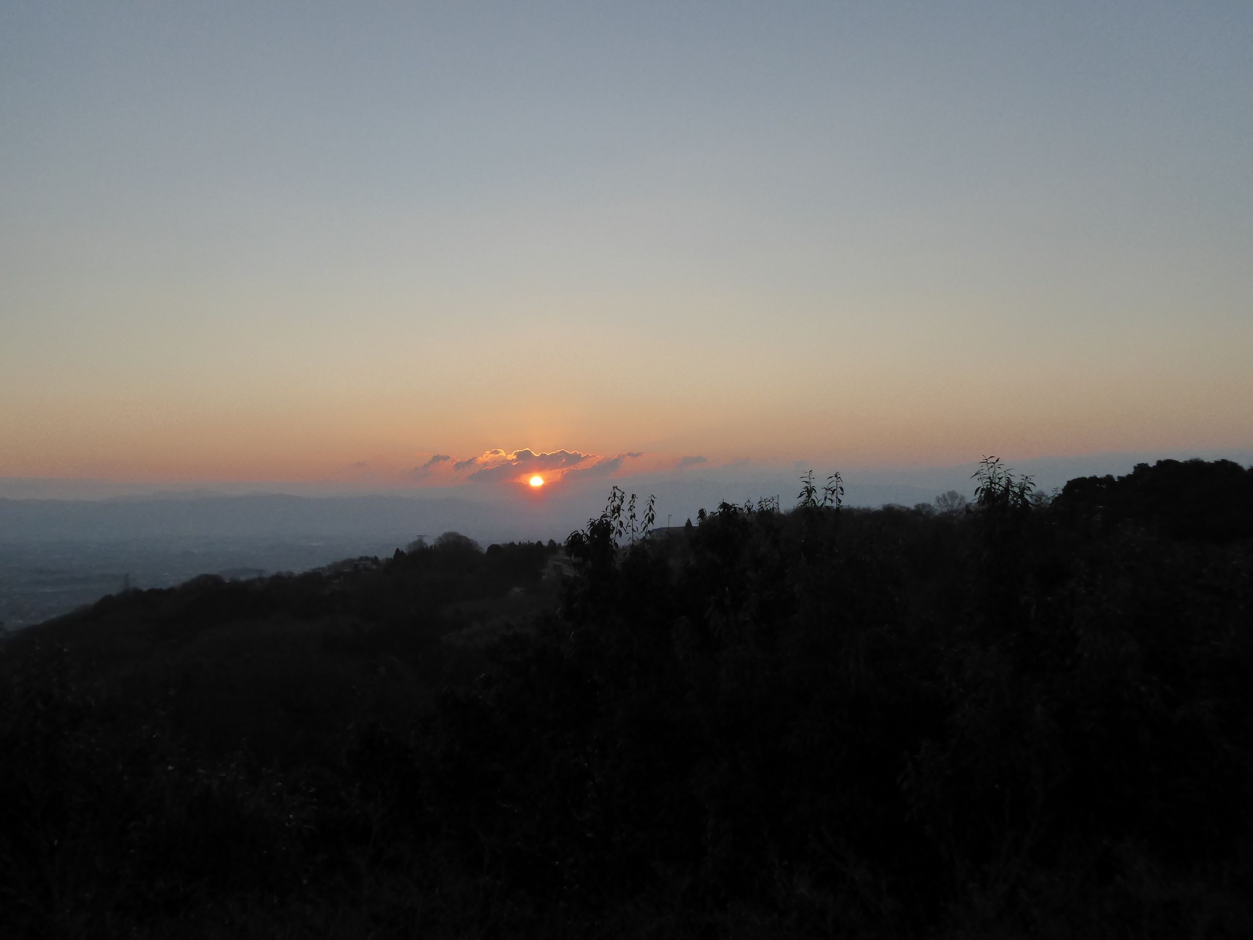 P1050245.JPG
