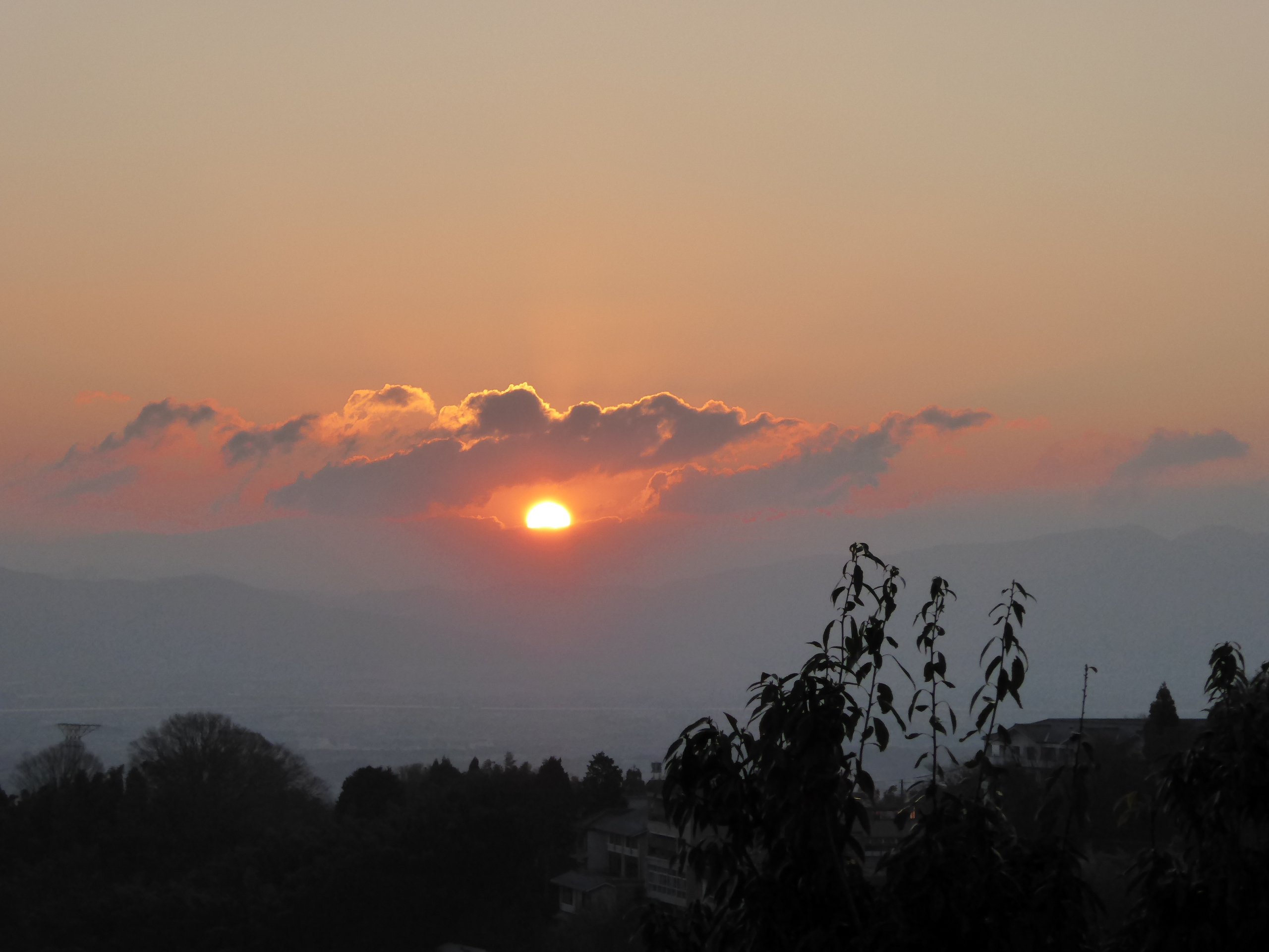 P1050246.JPG