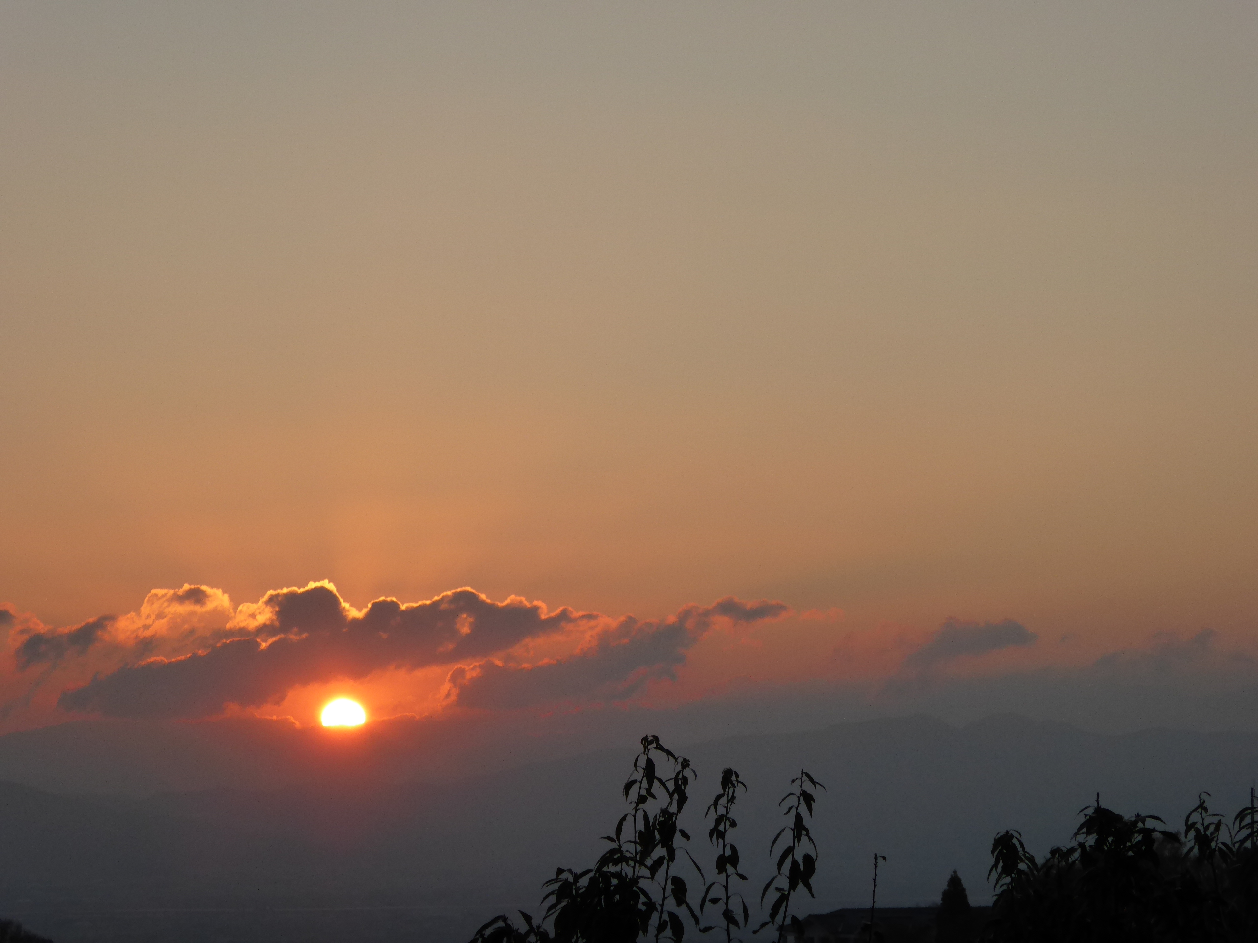 P1050247.JPG