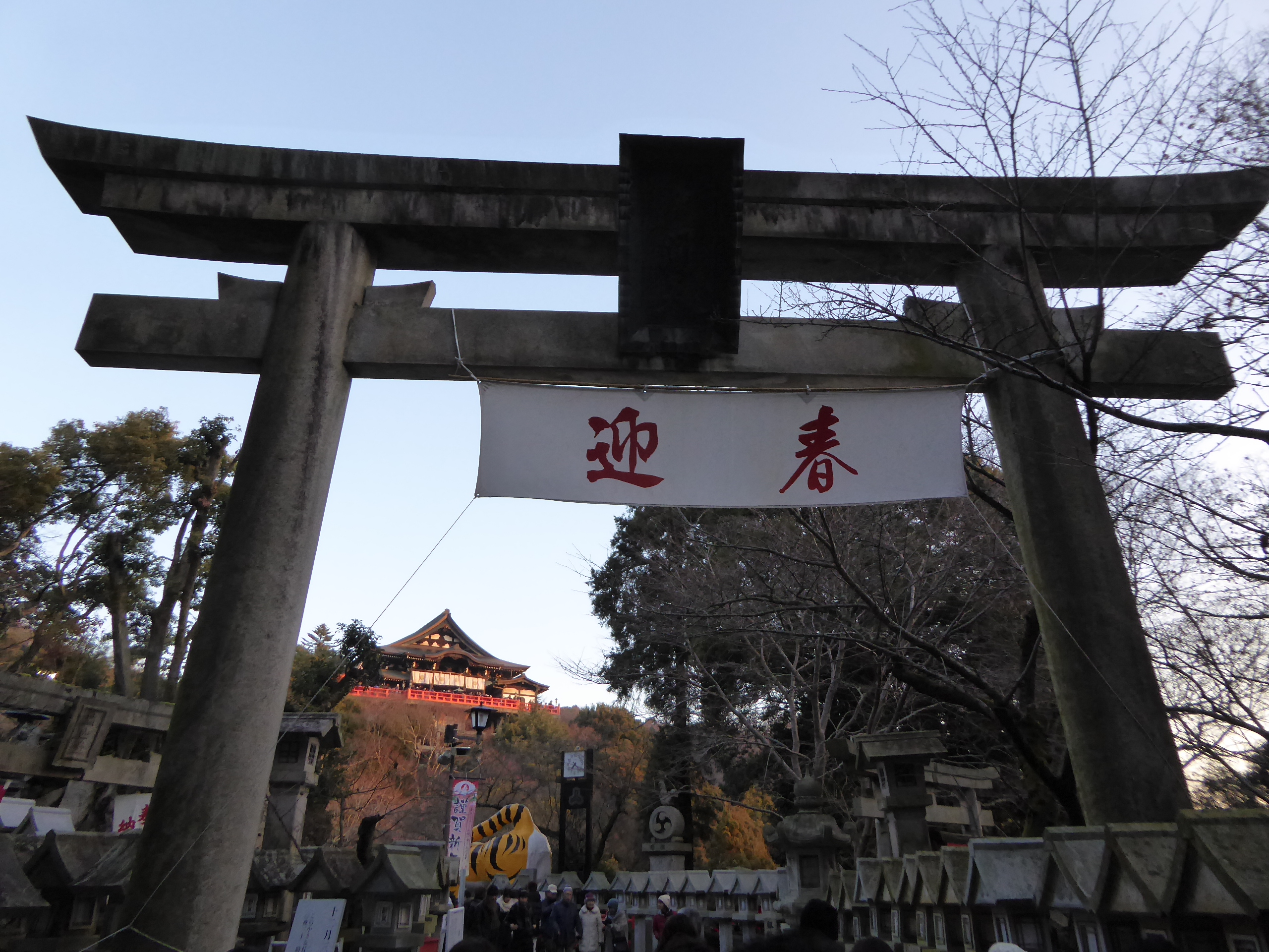 P1050271.JPG