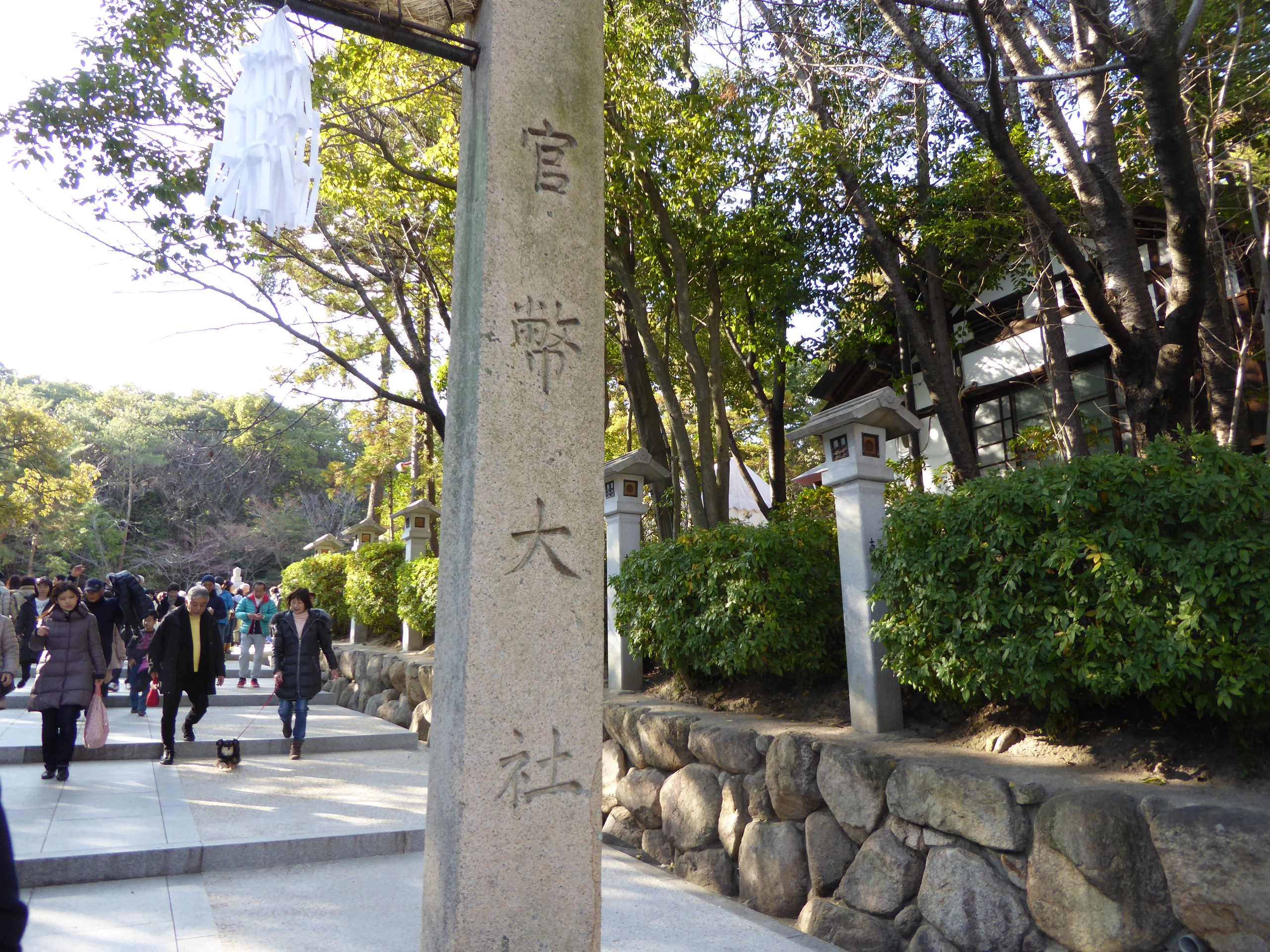 P1050290.JPG