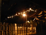 img0005.jpg
