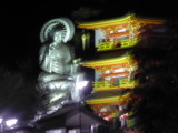 img0062.jpg