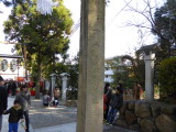 img0152.jpg