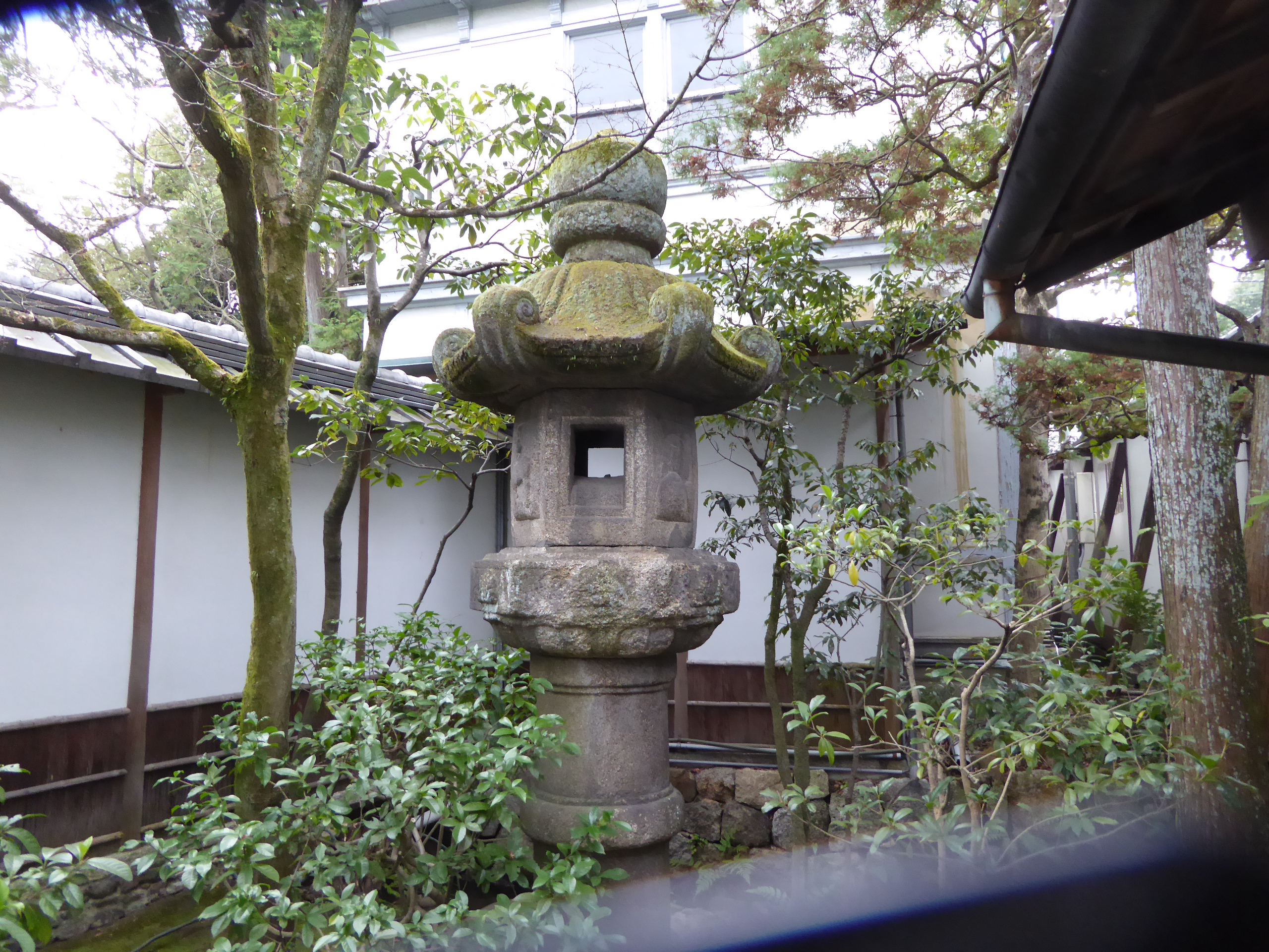 P1050318.JPG