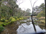 img0009.jpg