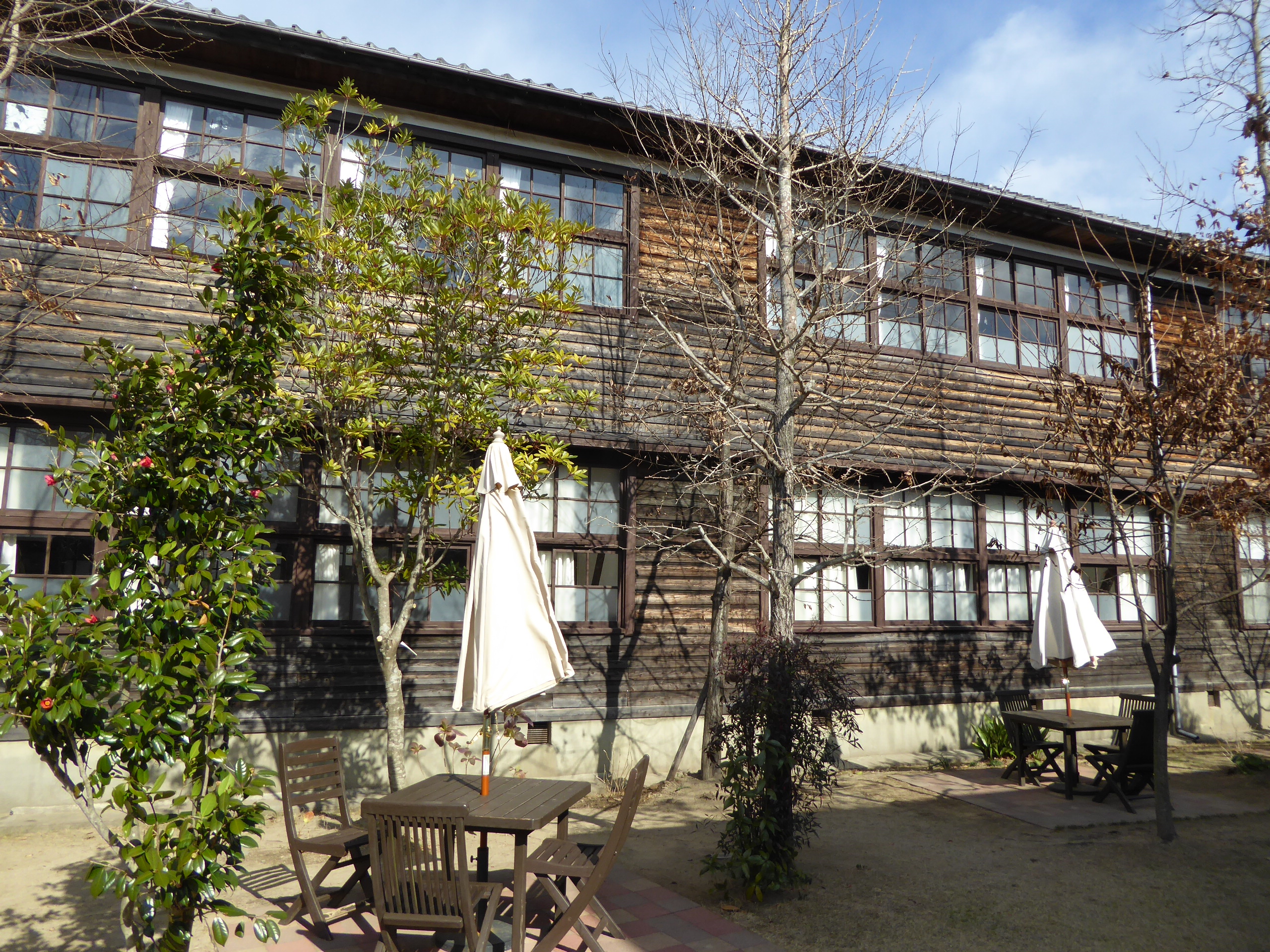 P1050334.JPG