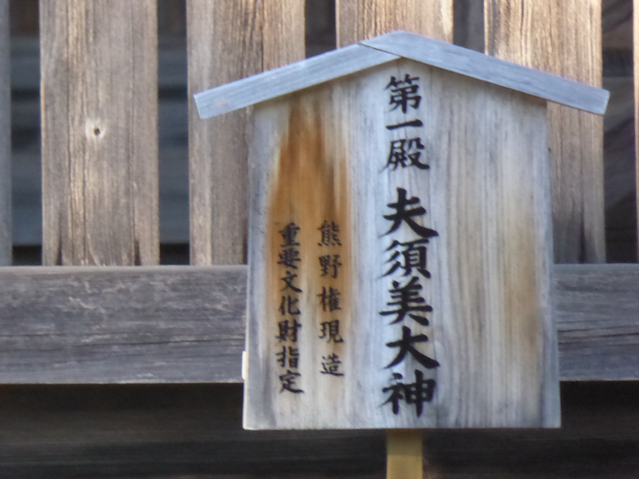 P1050350.JPG