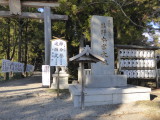 img0011.jpg