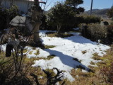 img0001.jpg