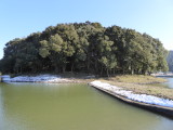 img0005.jpg