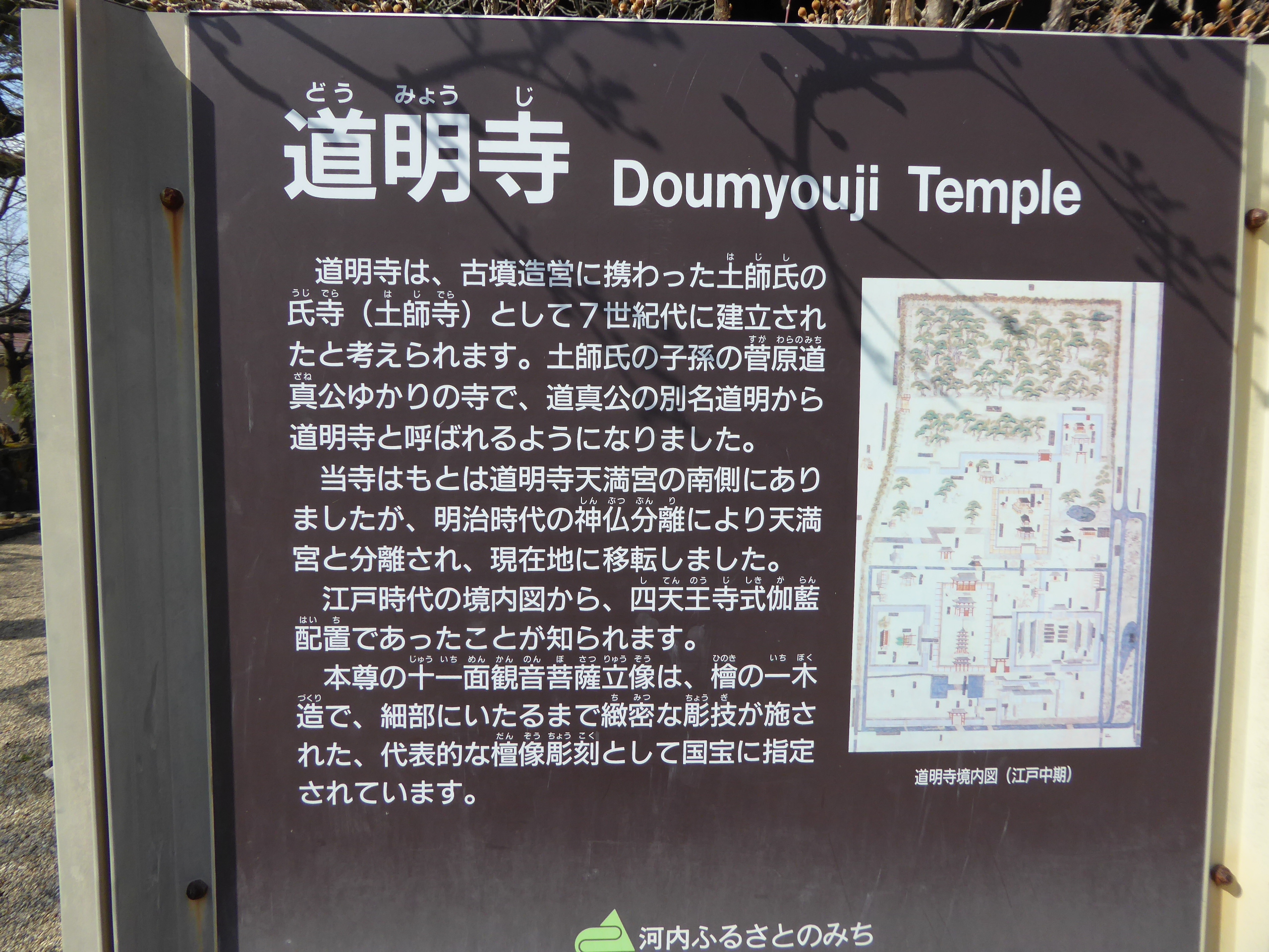 P1050398.JPG