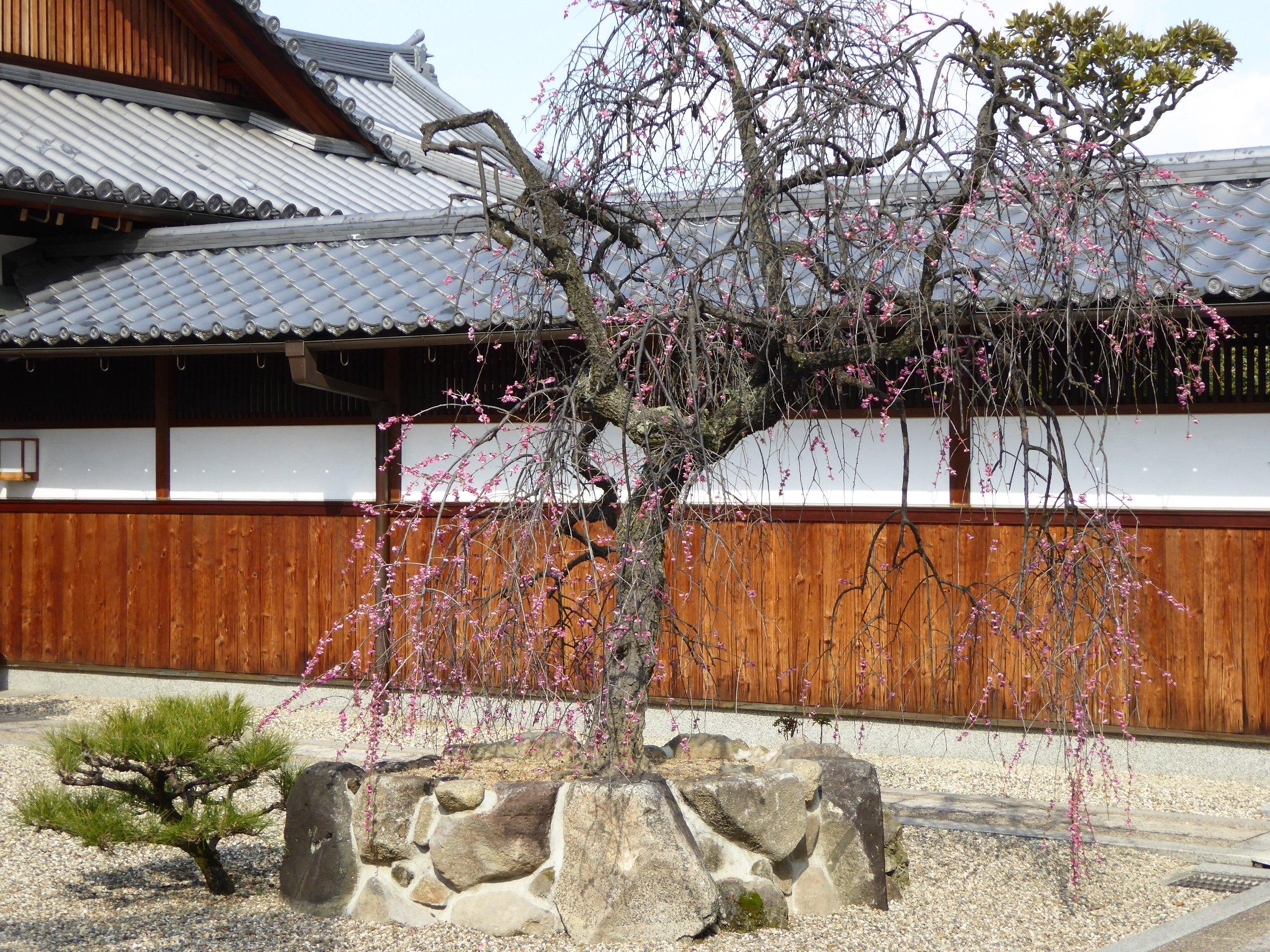 P1050400.JPG
