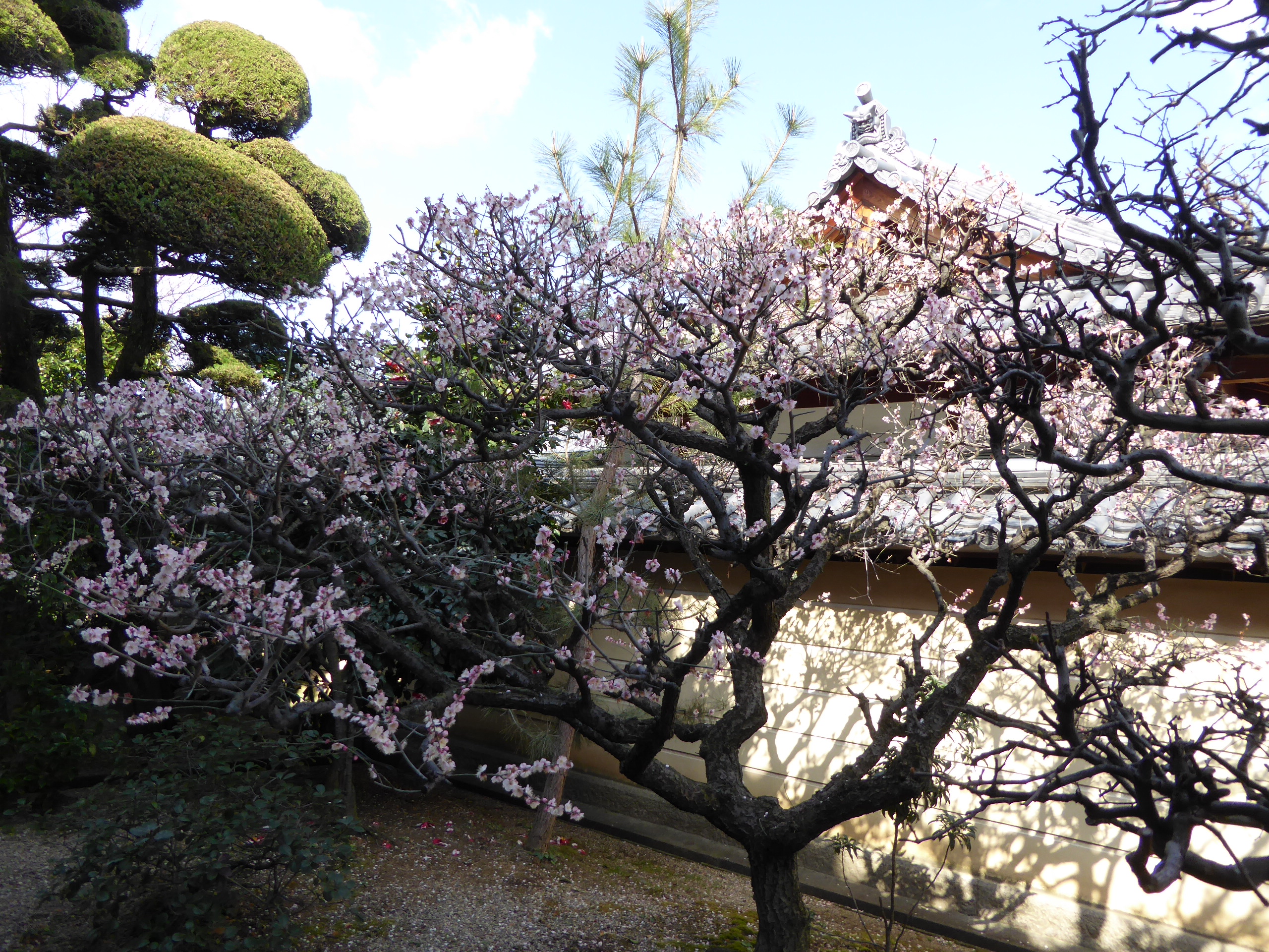 P1050401.JPG