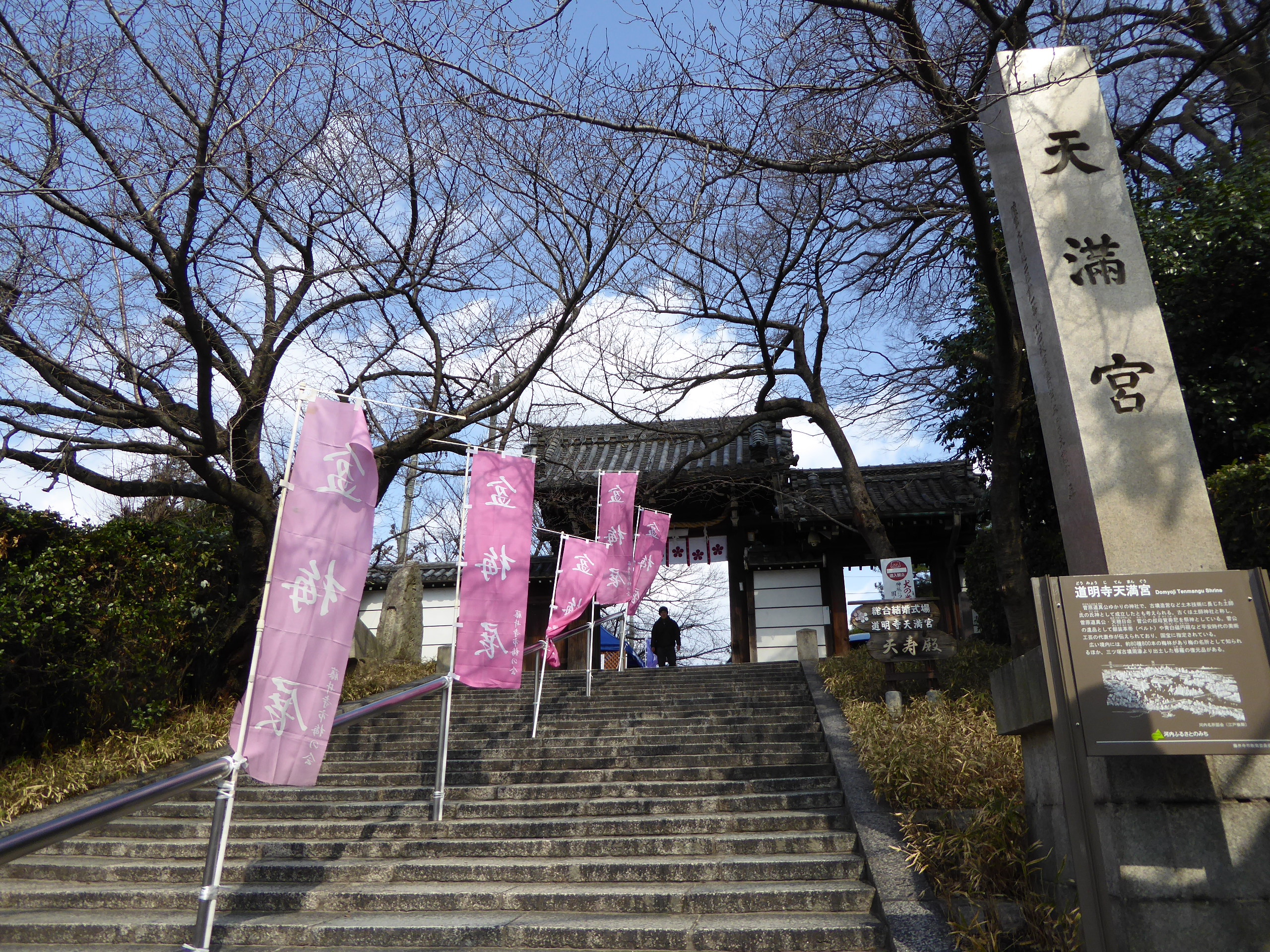 P1050405.JPG